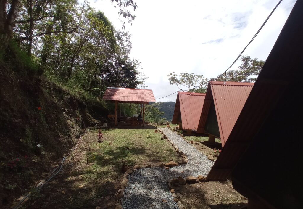 Services img 20230819 105639