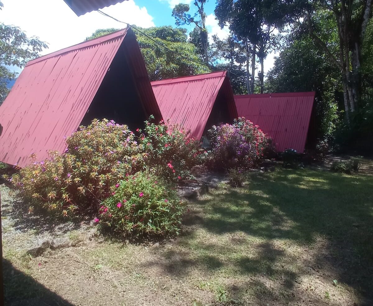 Services WhatsApp Image 2026 03 23 At 10.15.46 3 Copia E1774633898164