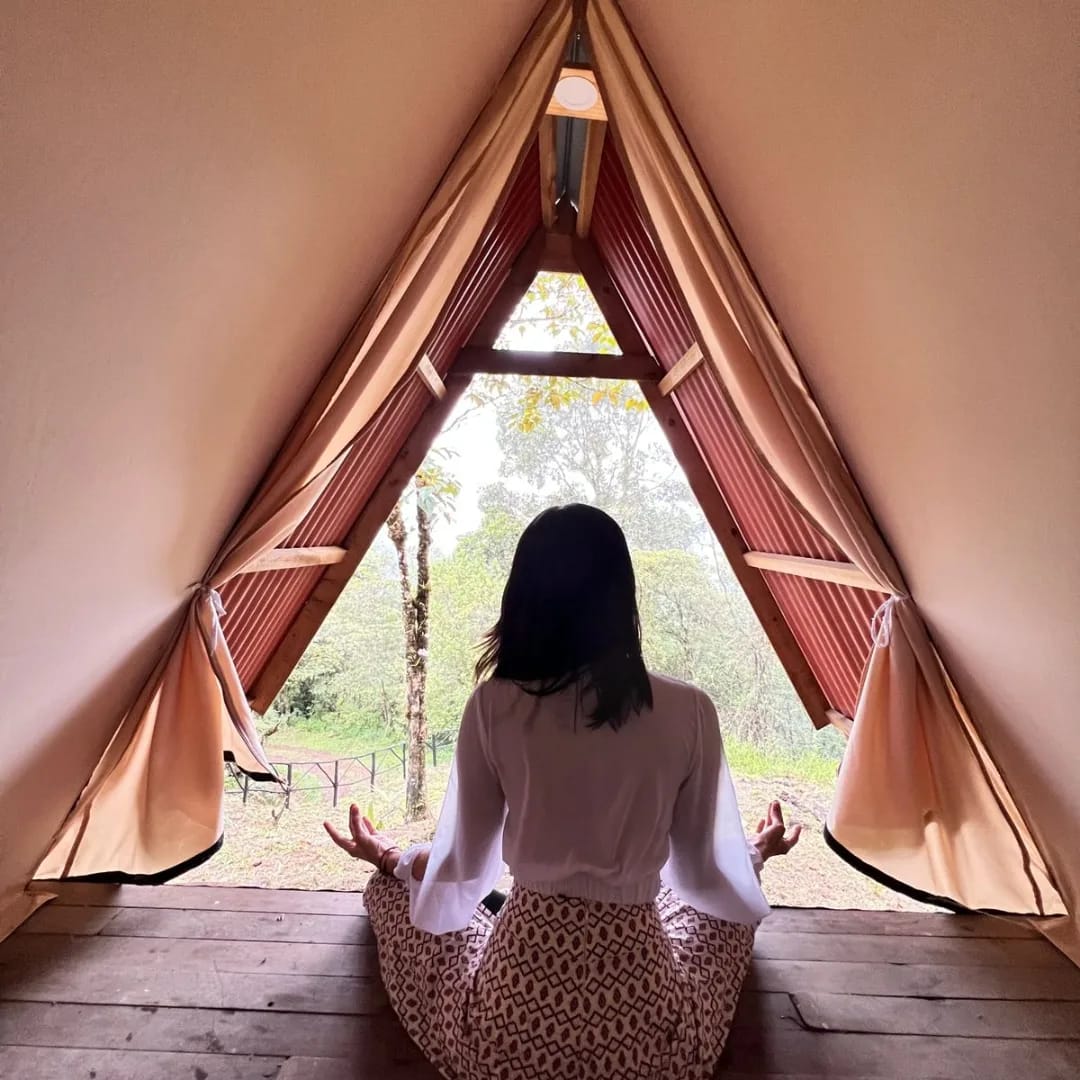 Alto Los Leones whatsapp image 2026 03 23 at 10.20.02 (2)