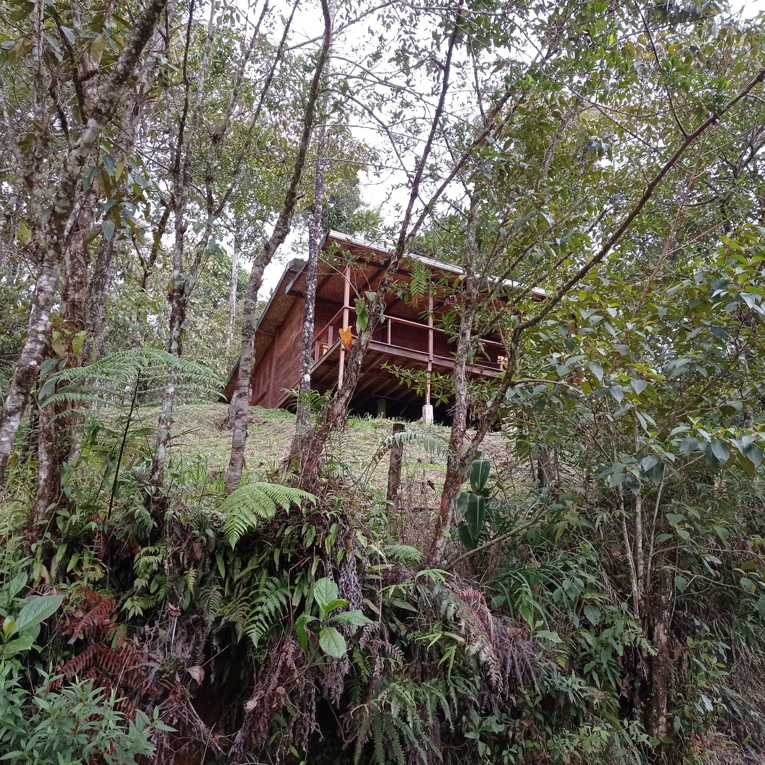 Services whatsapp image 2026 03 26 at 12.35.27