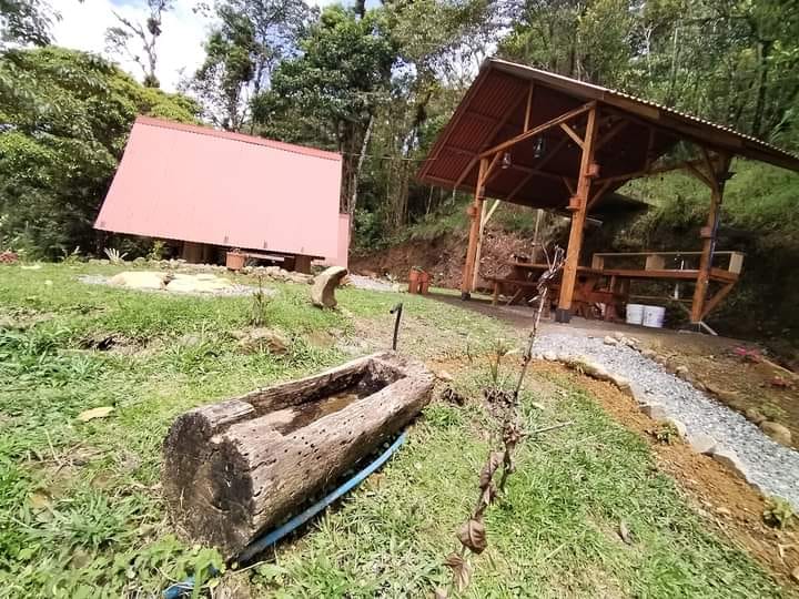 Services whatsapp image 2026 03 23 at 10.15.46 (2)