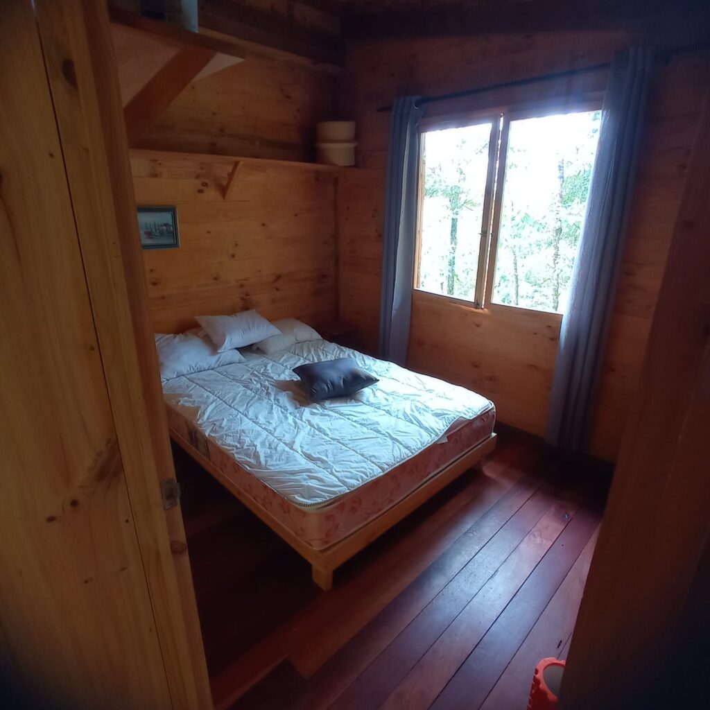 Services whatsapp image 2026 03 26 at 12.35.28 (2)