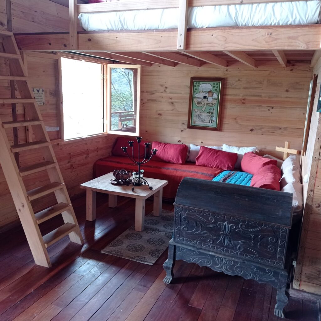 Services whatsapp image 2026 03 26 at 12.35.29 (3)